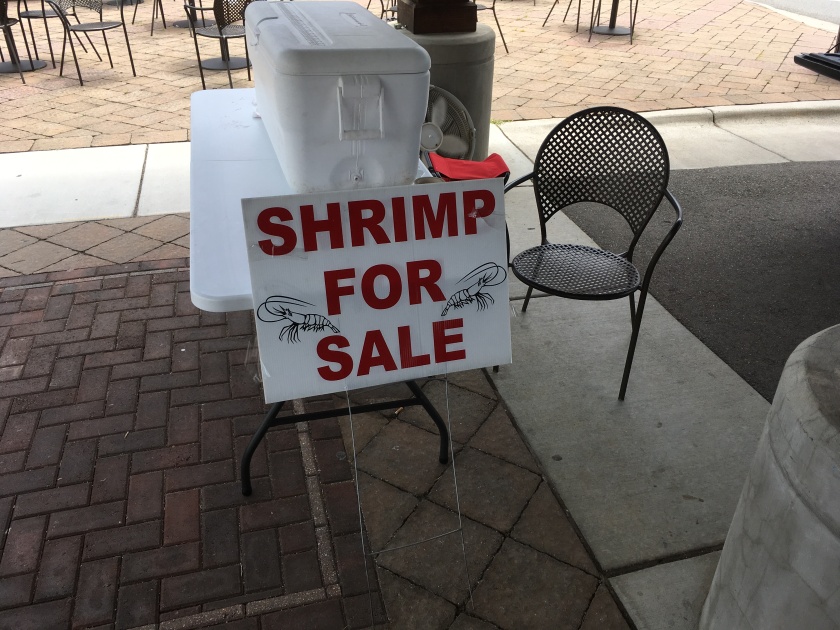 06242017 shrimp